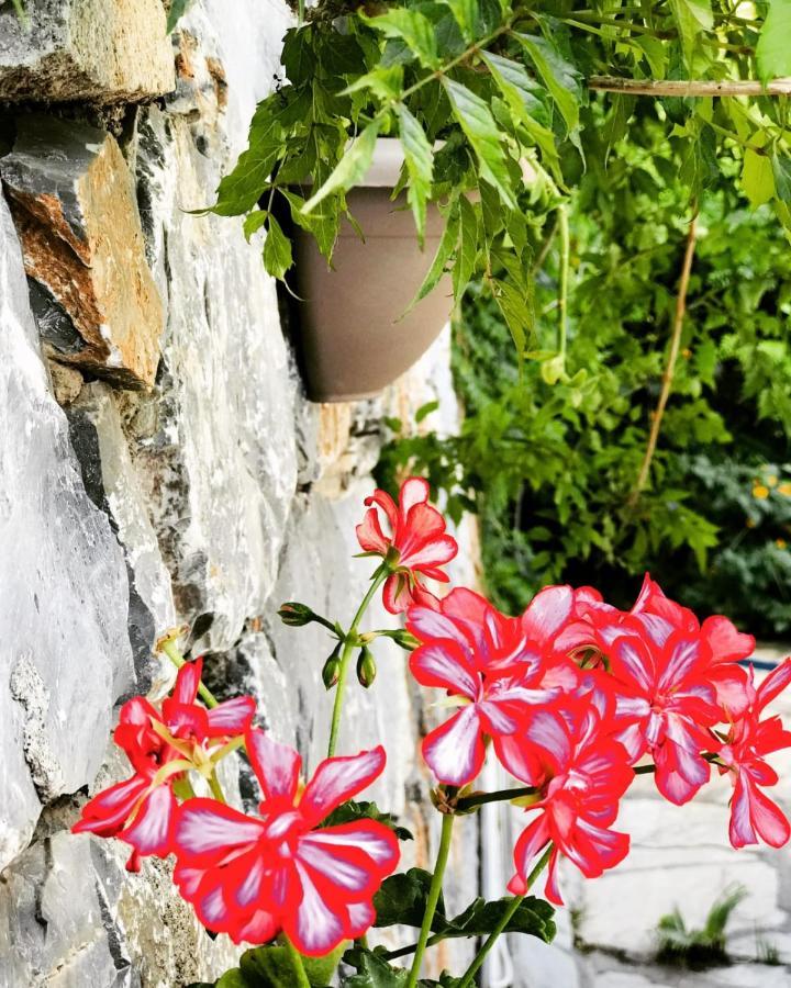 Nehir Dalyan Boutique Otel Ortaca  Bagian luar foto